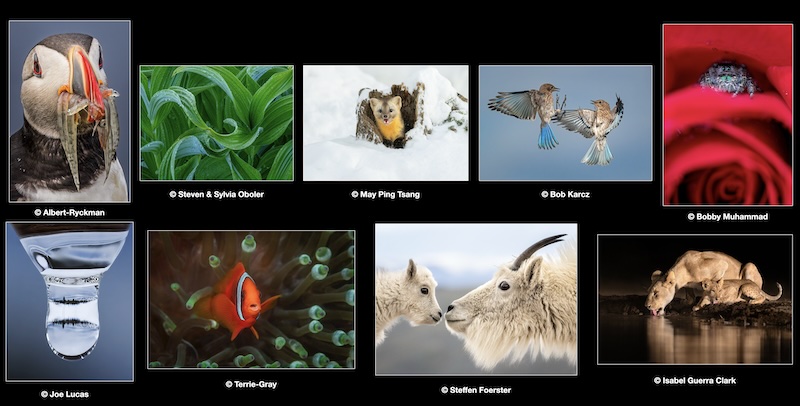 Share the View - Image Collage